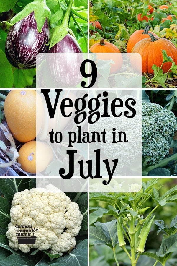 9 Vegetables To Plant In July Zone 9 Brown Thumb Mama 
