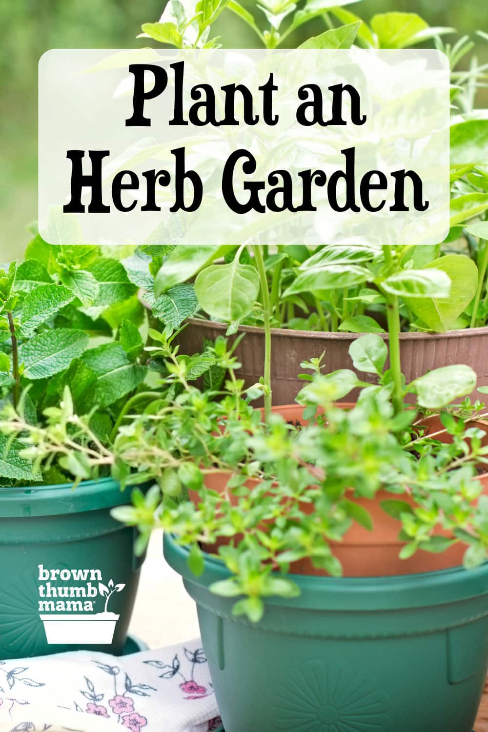 How To Plant An Herb Garden - Brown Thumb Mama®