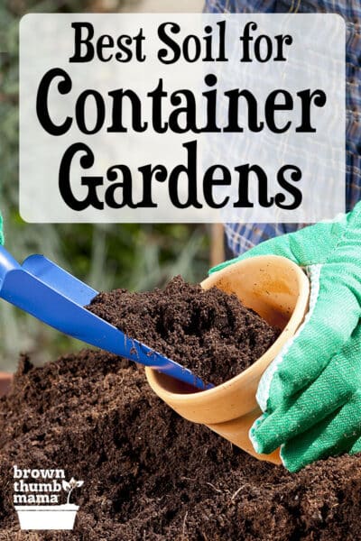 Best Soil for Container Gardening: Ultimate Guide for Thriving Plants