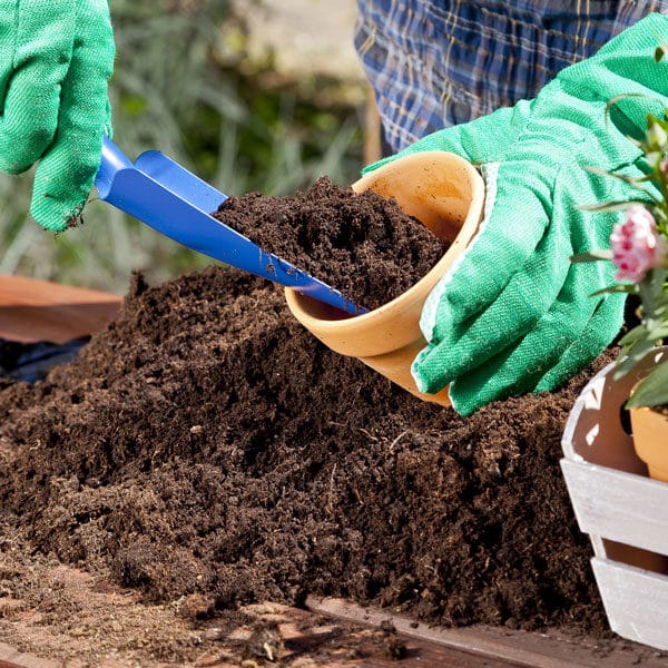 scooping soil into garden pot