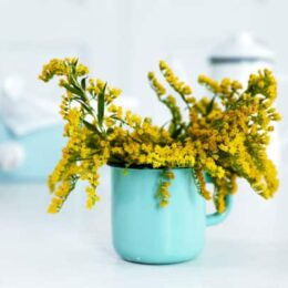 yellow flowers in light blue mug