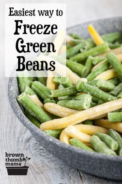 frozen green and yellow beans in bowl