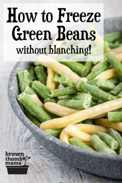 frozen green and yellow beans in bowl