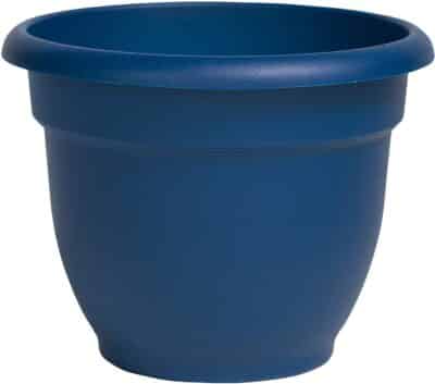 pot de plantation bleu