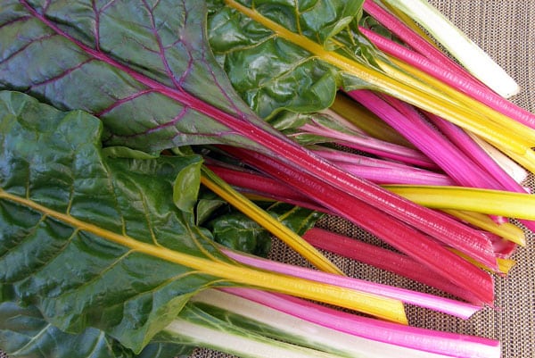 colorful stalks of rainbow chard on cloth