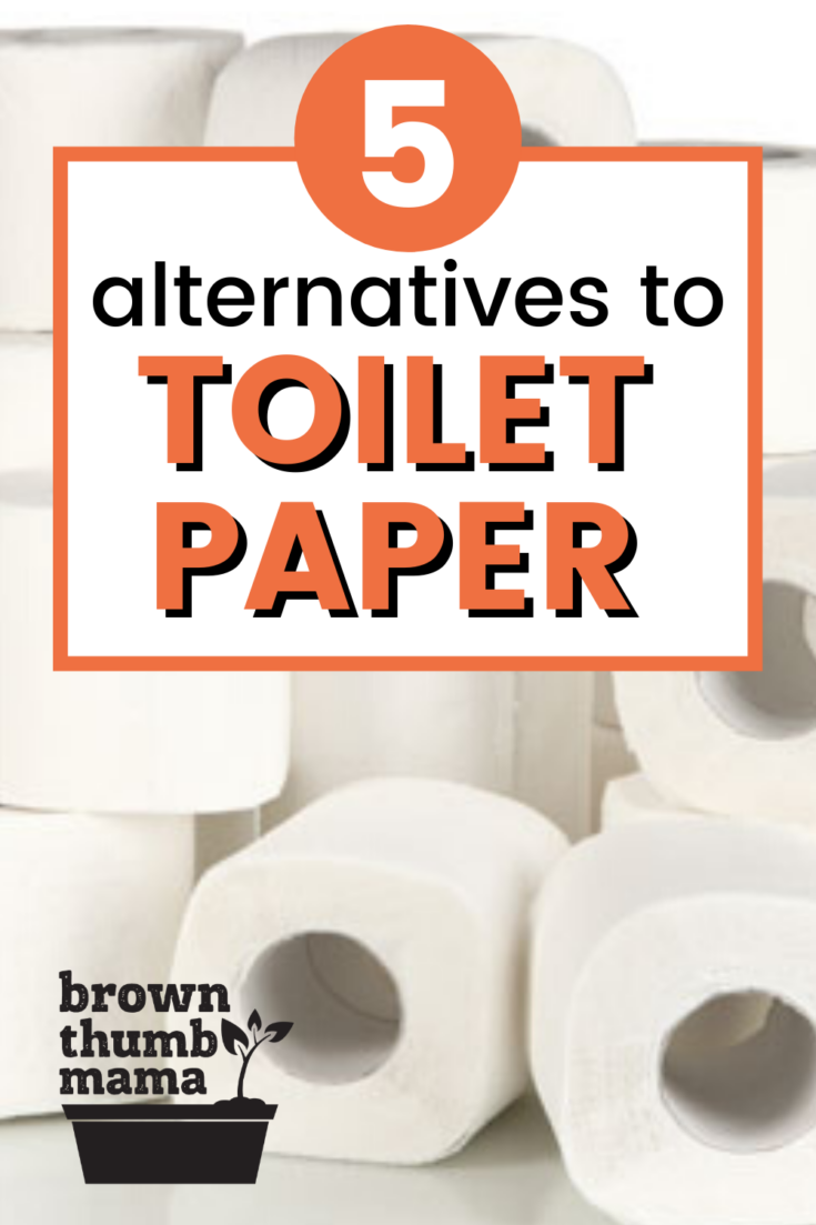 5 Natural Alternatives to Toilet Paper Brown Thumb Mama®