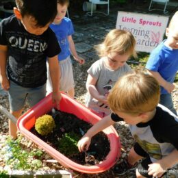 toddlers planting seeds in a small wheelbarrow