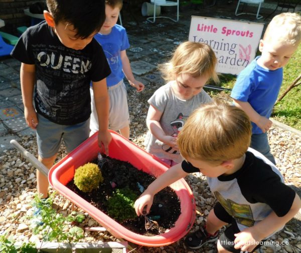 toddlers planting seeds in a small wheelbarrow