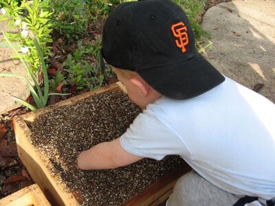 toddler playing in dirt