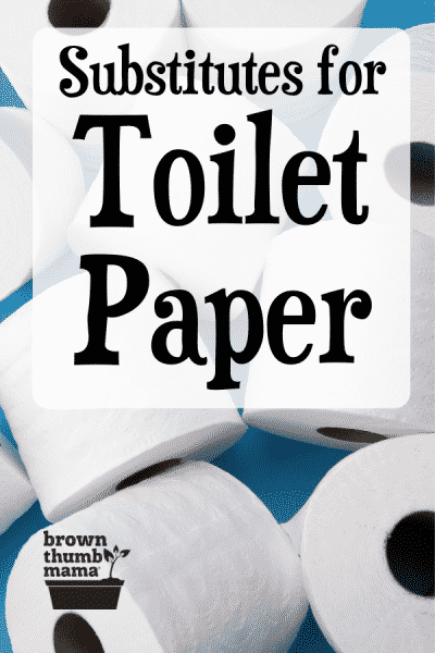 toilet paper rolls on blue background
