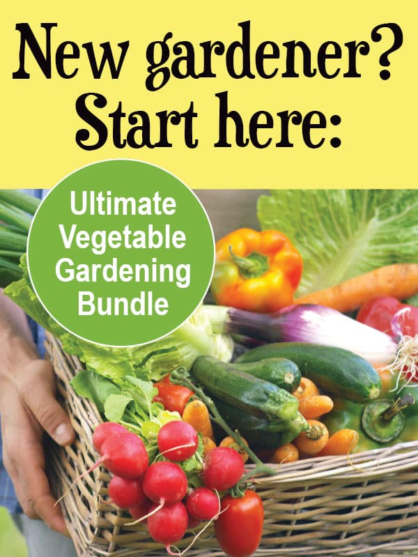 Vegetable Gardening for the Beginning-est Beginner - Brown Thumb Mama®