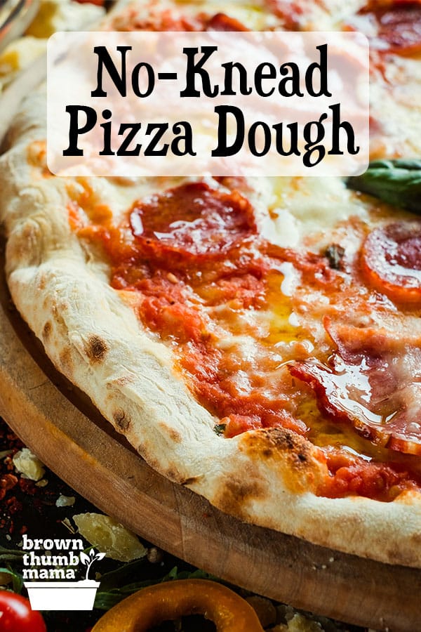 NoKnead Pizza Dough Brown Thumb Mama®