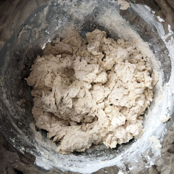 NoKnead Pizza Dough Brown Thumb Mama®