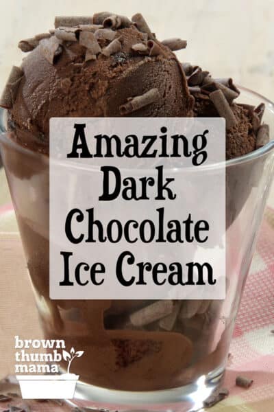 dark chocolate ice cream in a glass