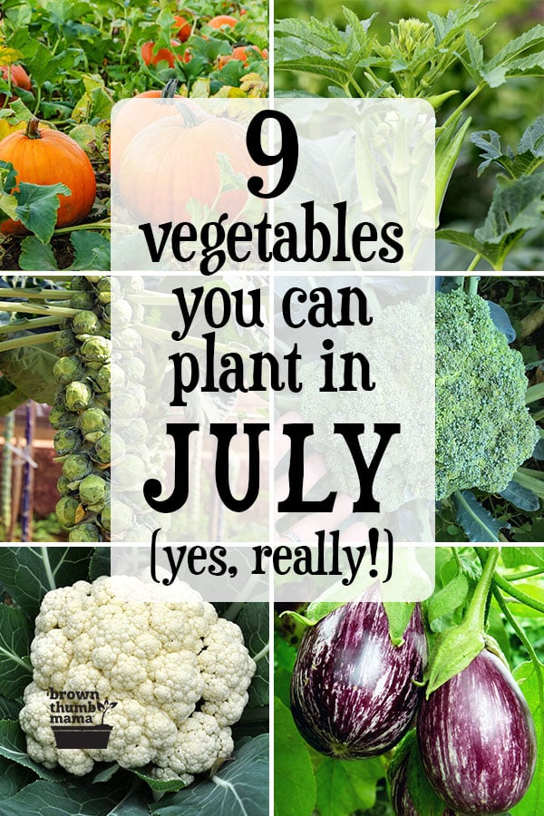 9 Vegetables to Plant in July {Zone 9} Brown Thumb Mama®