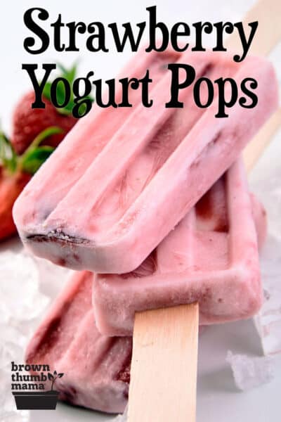 strawberry yogurt pops