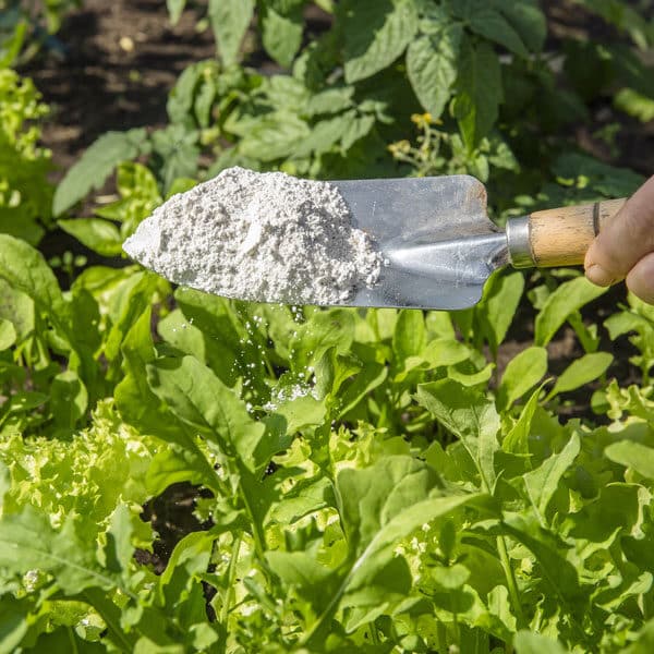 shovel of diatomaceous earth