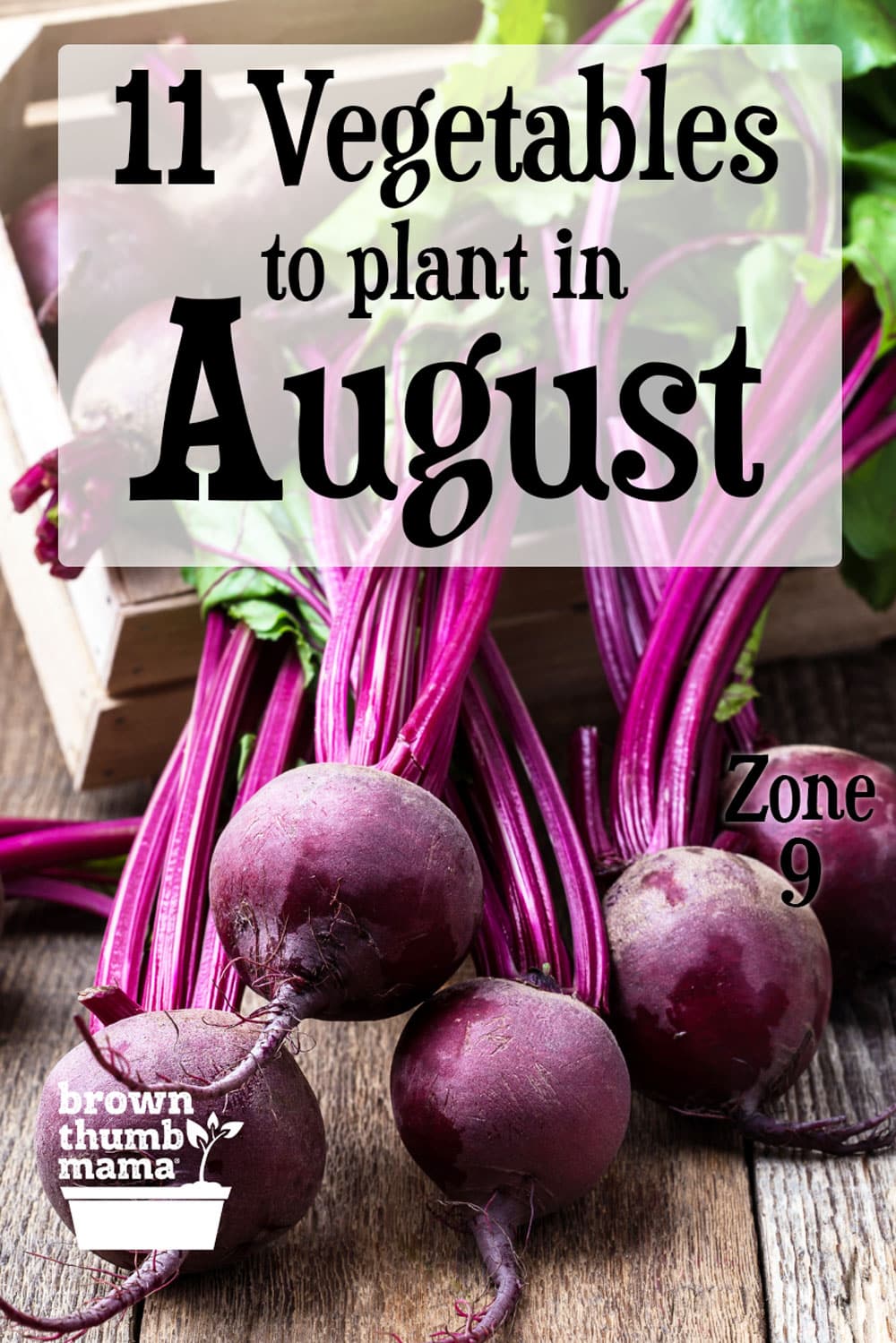 11 Vegetables to Plant in August {Zone 9} Brown Thumb Mama®