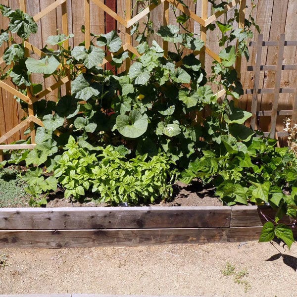 decomposed granite in front of raised bed garden