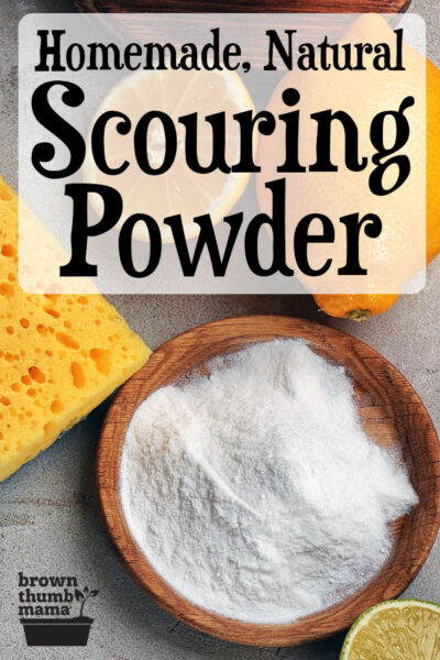 bowl of homemade scouring powder, sponge, and lemon