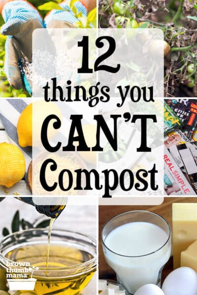 collage of items that can't be composted