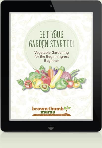Get Your Garden Started