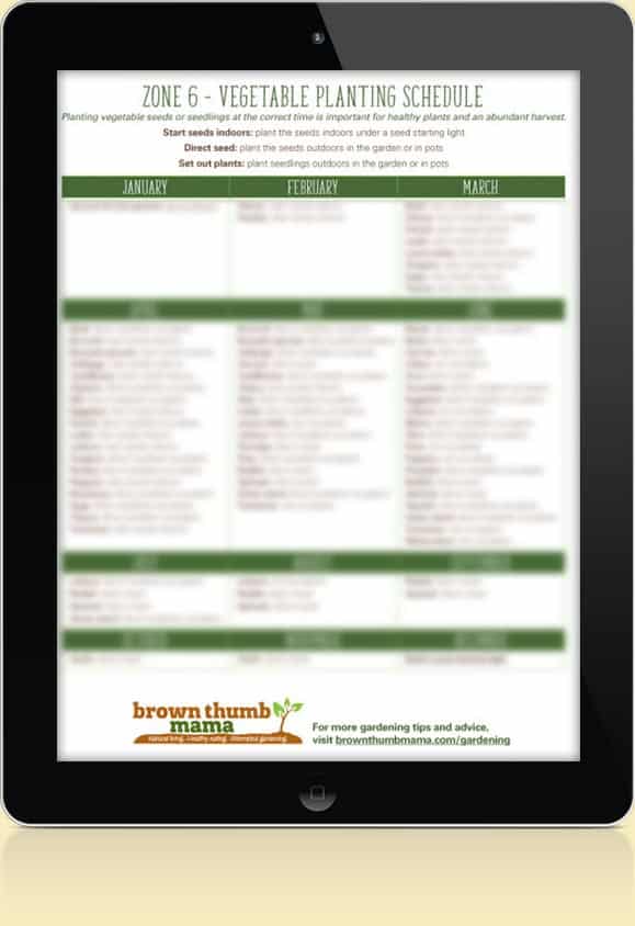 Zone 6 Planting Schedule 2021 Plant Ideas