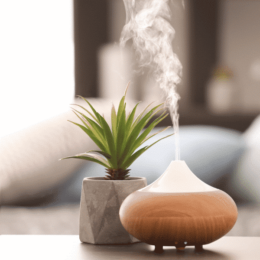 diffuser and plant on table