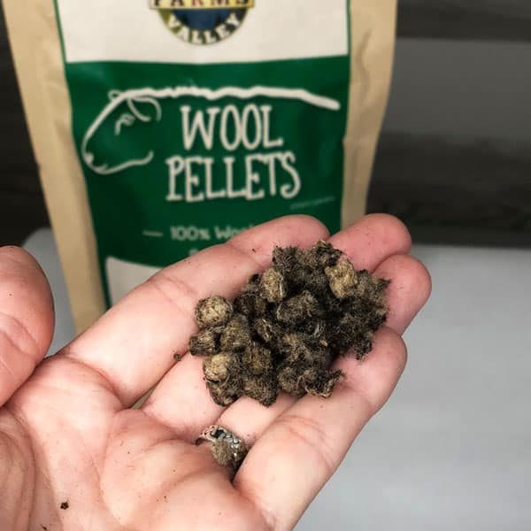 hand holding wool pellets