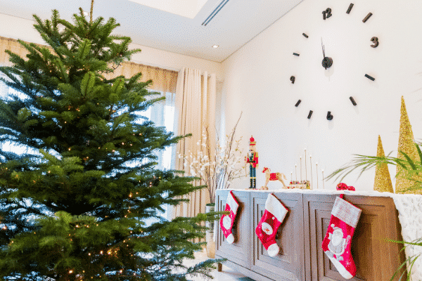 fresh christmas tree in living room