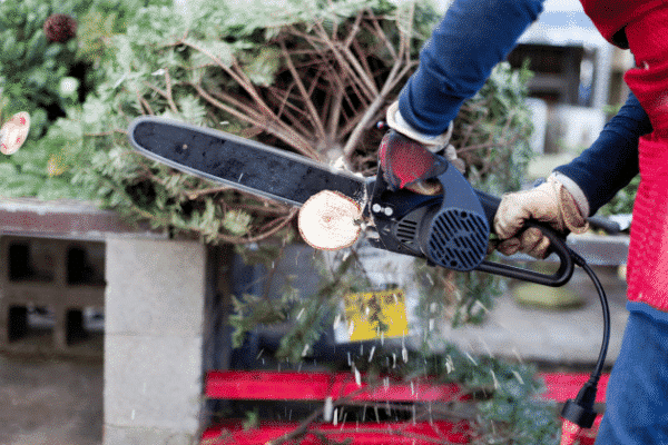 cutting christmas tree trunk