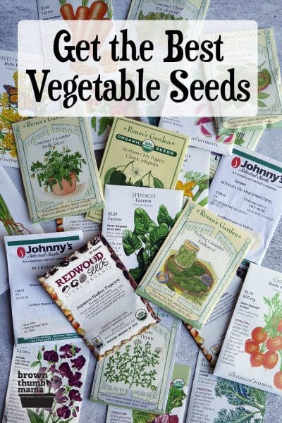 The Difference Between Organic Seeds and Heirloom Seeds - One