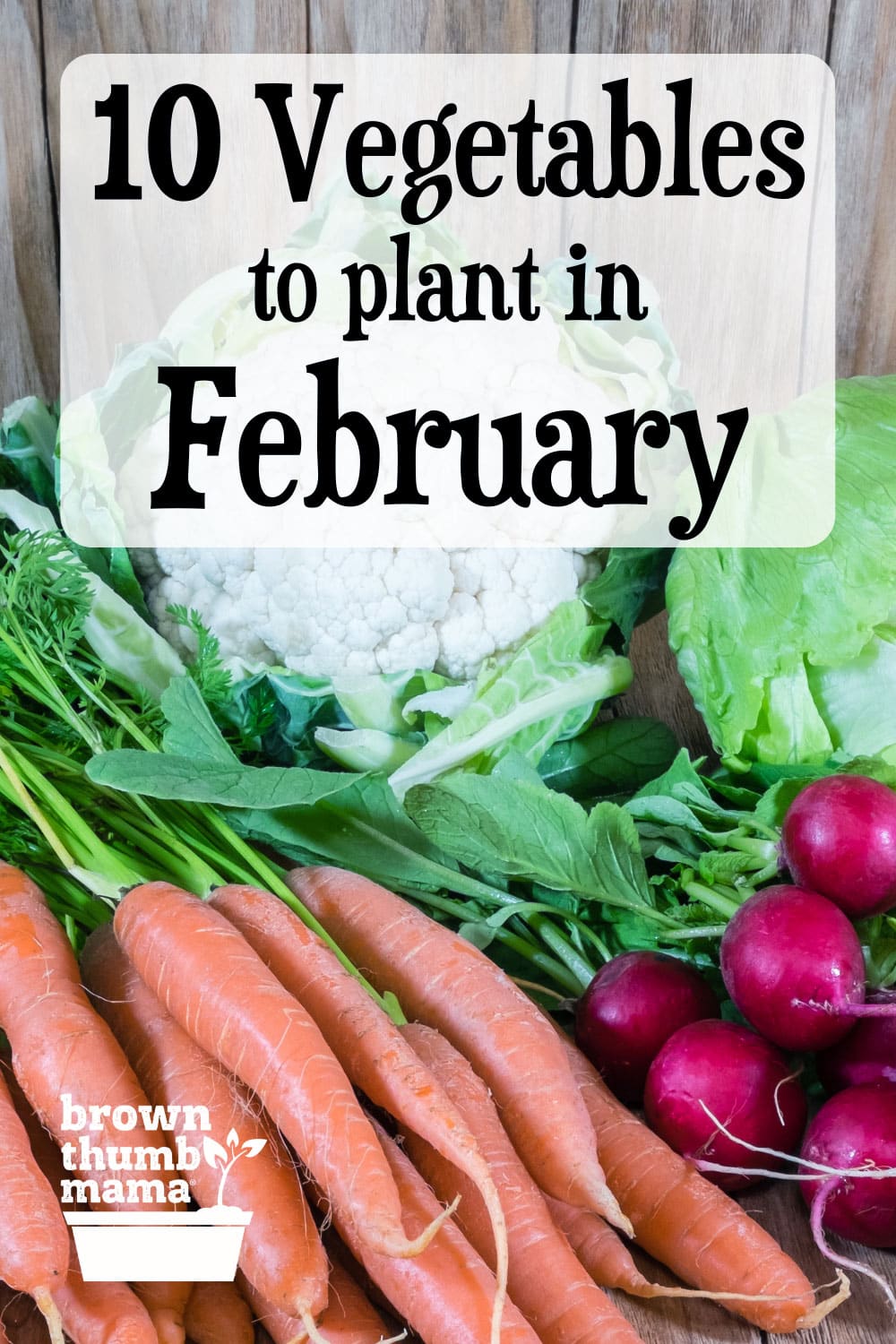 10 Vegetables to Plant in February {Zone 9} Brown Thumb Mama®