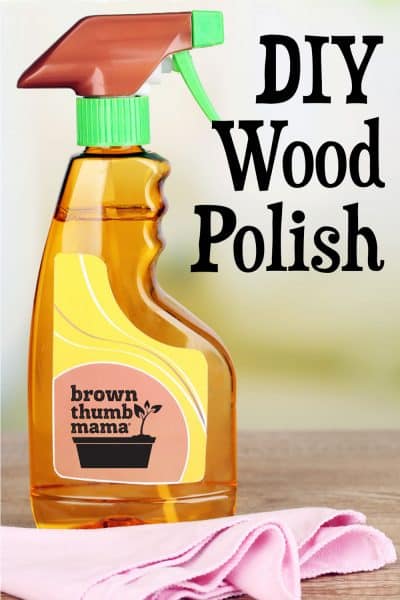 spray bottle of furniture polish and cloth