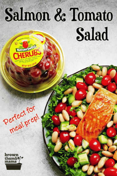 salmon and tomato salad on plate