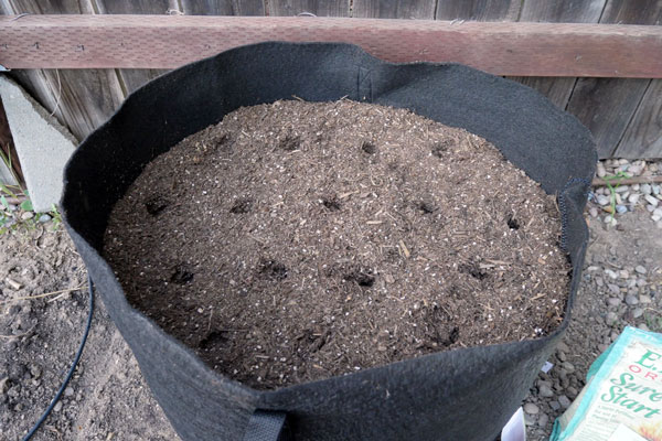 fabric pot for planting corn