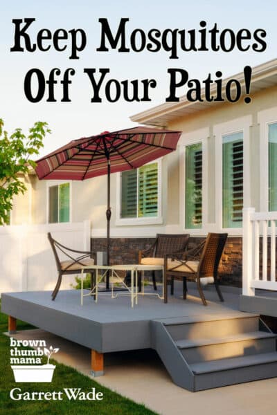 backyard patio table with umbrella