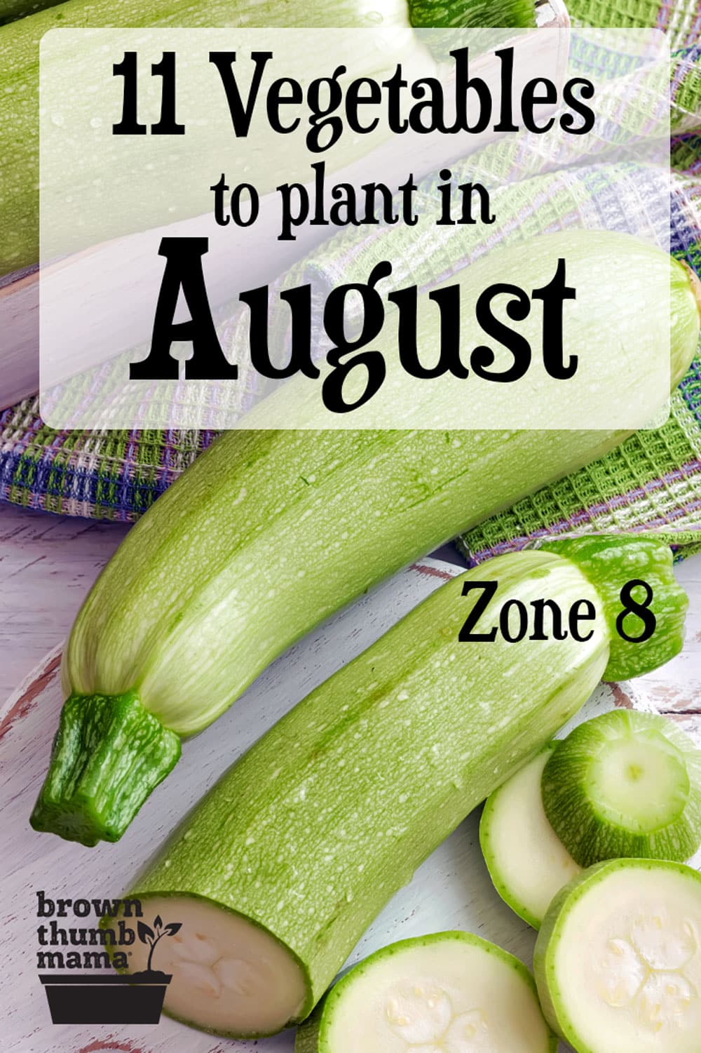 11-vegetables-to-plant-in-august-zone-8-brown-thumb-mama
