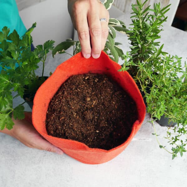 herbs and smart pot with soil