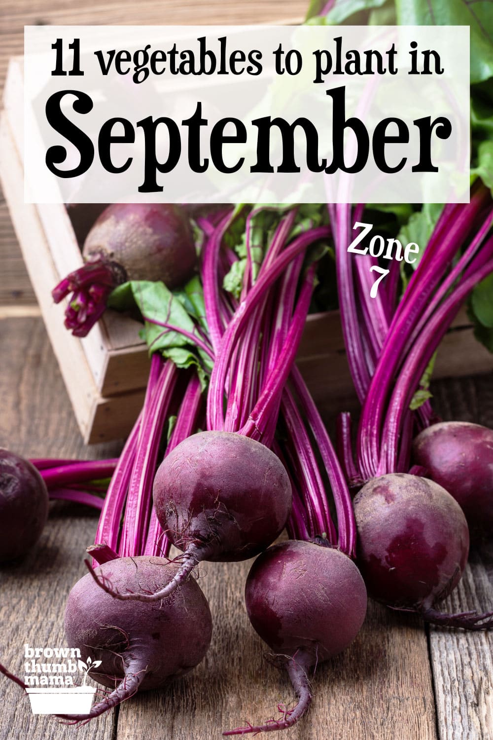 11-vegetables-to-plant-in-september-zone-7-brown-thumb-mama