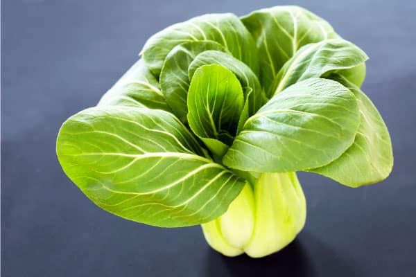 bok choi on gray table