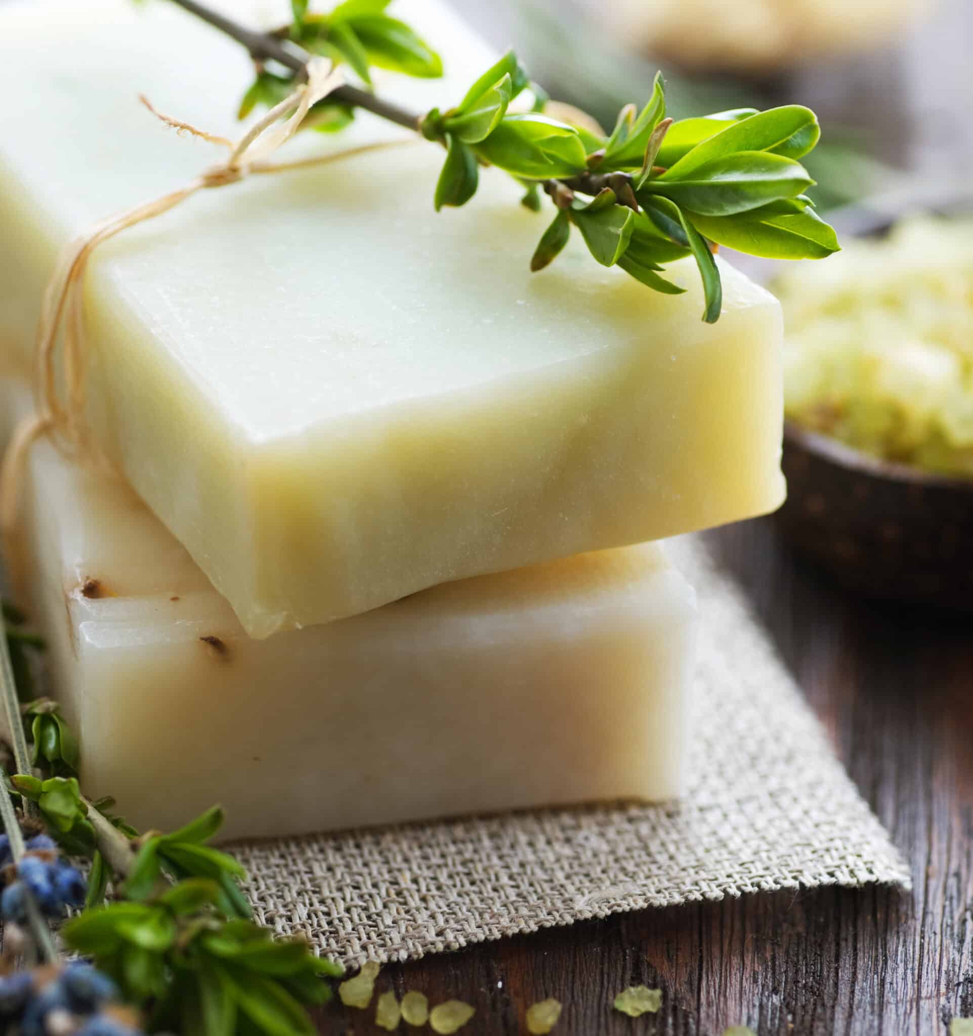 Make Soap Without Using Lye - Brown Thumb Mama®