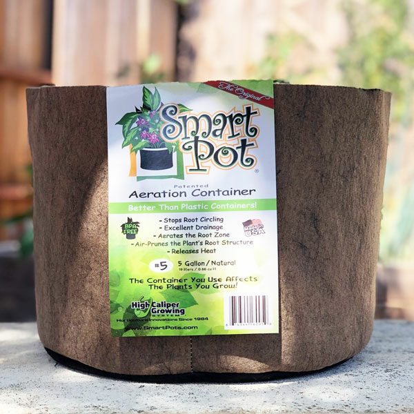 smart pot planter on table outside