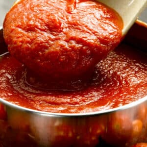 bowl of tomato sauce with spoon