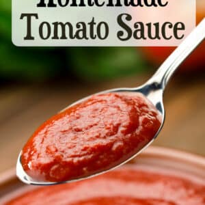 spoonful of thick homemade tomato sauce