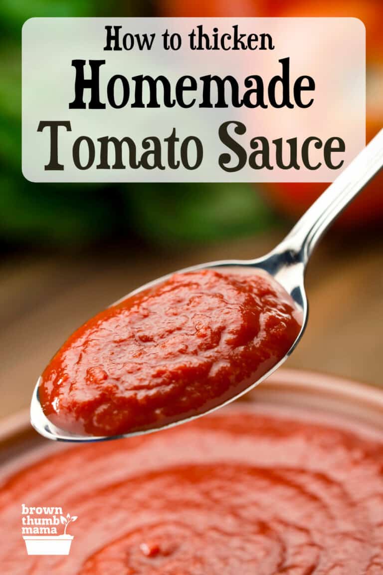 Homemade Tomato Sauce too Watery? Here's the Fix. Brown Thumb Mama®