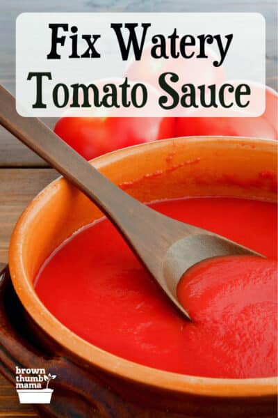 bowl of tomato sauce with spoon