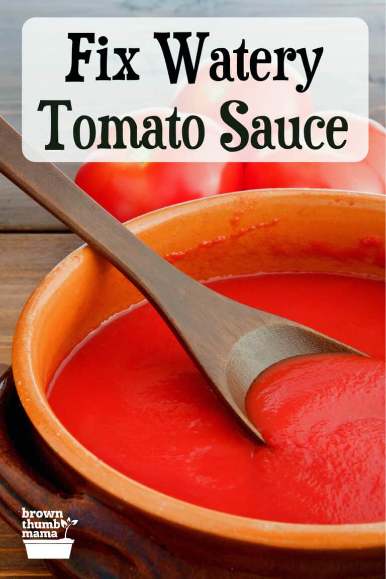 Homemade Tomato Sauce Too Watery Heres The Fix Brown Thumb Mama® 