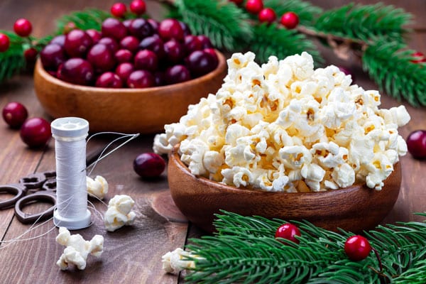 bowl of cranberries, popcorn, and thread