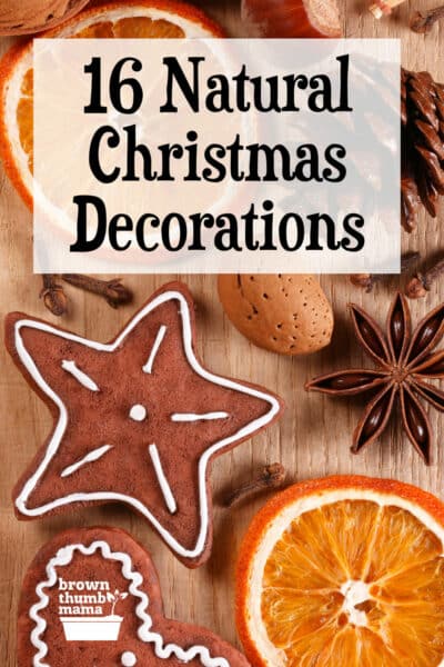 gingerbread ornaments, spices, and dried orange slices on table